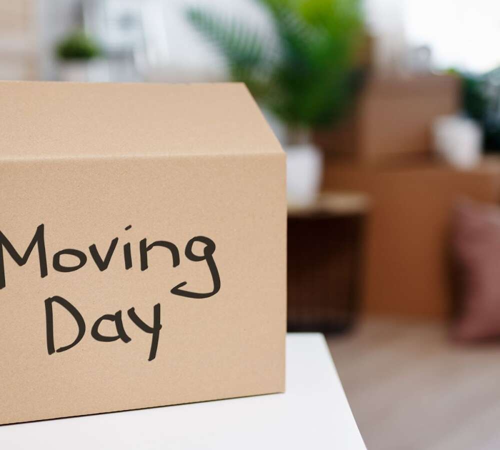 Tipping Your Movers: A Guide to Showing Appreciation on Moving Day